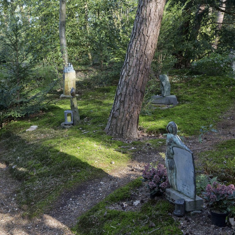 Urnenbos (1)