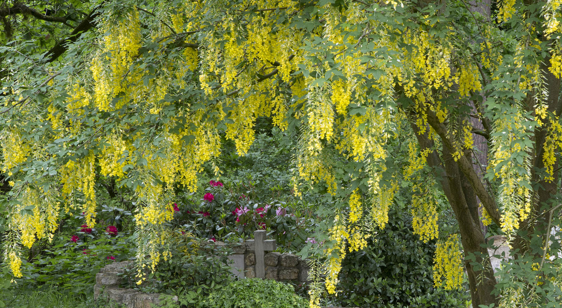 Kleur (2)